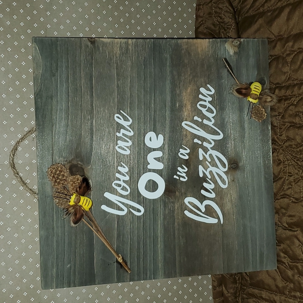 You are One in a buzzilion wooden sign